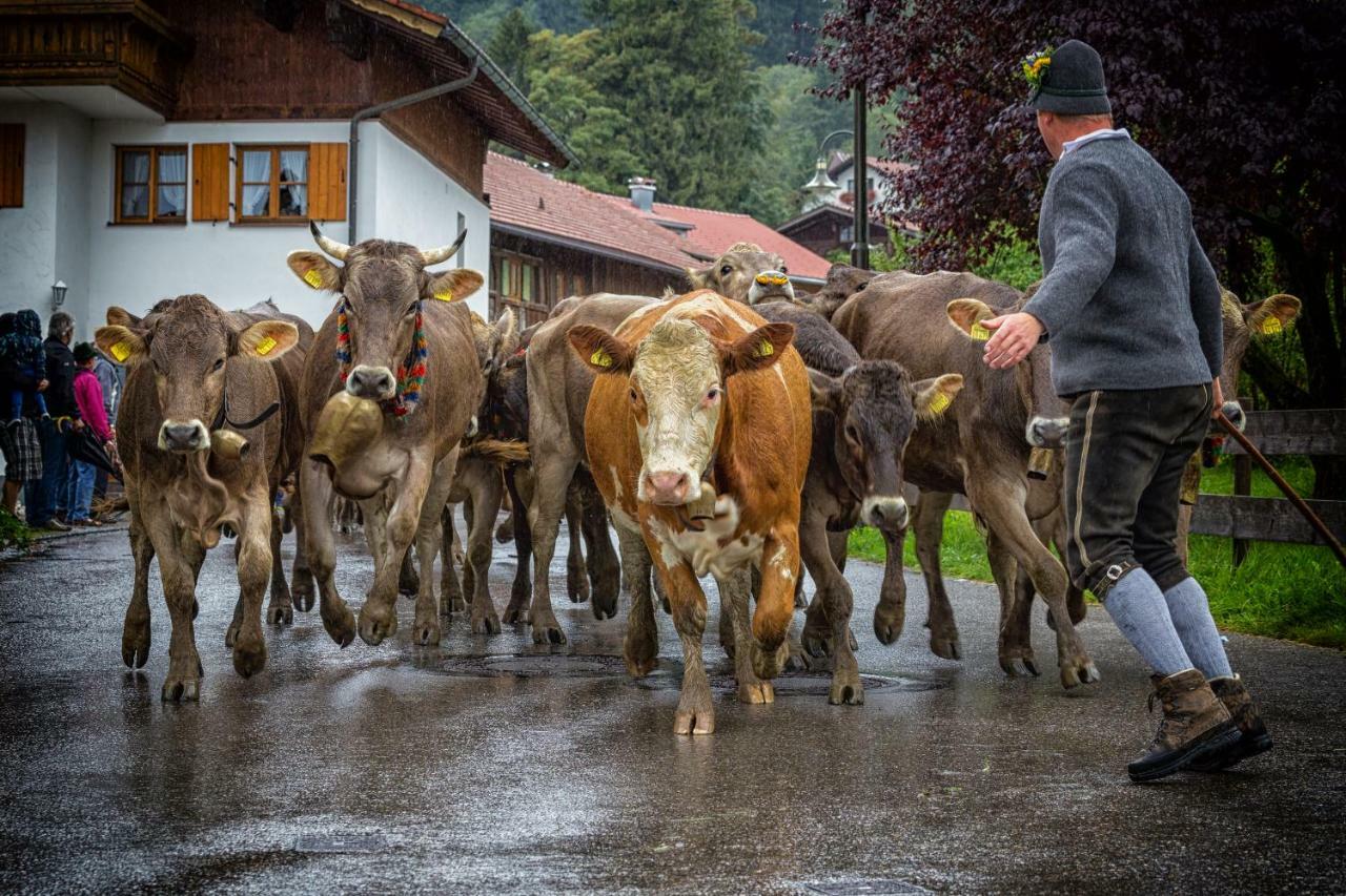 Ferienwohnung Zobl Fussen Bagian luar foto